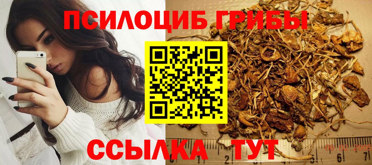 Псилоцибиновые грибы Psilocybine cubensis  Вход с VPN  Абинск  Галлюциногенные грибы мухоморы 
